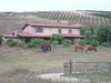 Casale Farnesiana - Maneggio